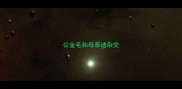 公金毛和母泰迪杂交