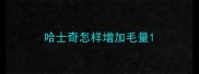 哈士奇怎样增加毛量