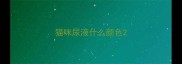 猫咪尿液什么颜色