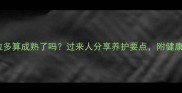 2岁拉布拉多算成熟了吗过来人分享养护要点附健康预警清单