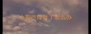小狗吃撑吐了怎么办