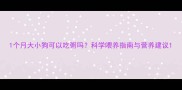 1个月大小狗可以吃粥吗科学喂养指南与营养建议