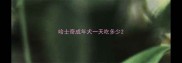 哈士奇成年犬一天吃多少