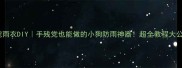 萌宠雨衣DIY手残党也能做的小狗防雨神器超全教程大公开
