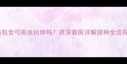 狗狗必看常规疫苗包含弓形虫抗体吗资深兽医详解接种全流程及弓形虫防控指南