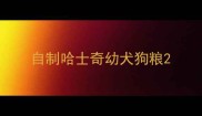 自制哈士奇幼犬狗粮