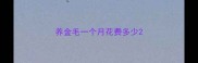 养金毛一个月花费多少