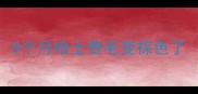 8个月哈士奇毛变棕色了