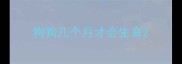 狗狗几个月才会生育