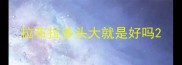 拉布拉多头大就是好吗