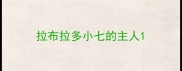 拉布拉多小七的主人