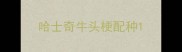 哈士奇牛头梗配种