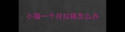 小猫一个月拉稀怎么办