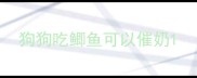 狗狗吃鲫鱼可以催奶