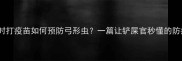 狗狗按时打疫苗如何预防弓形虫一篇让铲屎官秒懂的防病指南