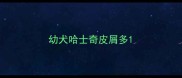 幼犬哈士奇皮屑多