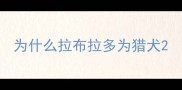 为什么拉布拉多为猎犬