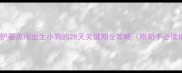 科学养护要点刚出生小狗的28天关键期全攻略附新手必读指南
