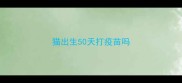 猫出生50天打疫苗吗