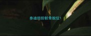 泰迪预防髌骨脱位