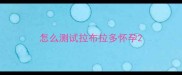 怎么测试拉布拉多怀孕