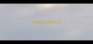 小狗疫苗间多少天