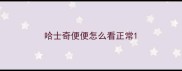 哈士奇便便怎么看正常