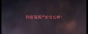 狗疫苗国产的怎么样