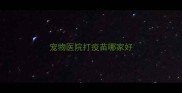 宠物医院打疫苗哪家好
