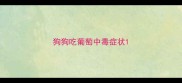 狗狗吃葡萄中毒症状