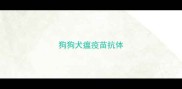 狗狗犬瘟疫苗抗体