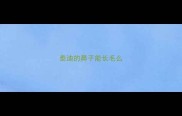 泰迪的鼻子能长毛么