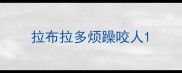 拉布拉多烦躁咬人