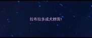 拉布拉多成犬脖围