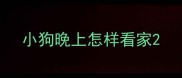 小狗晚上怎样看家