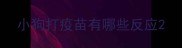 小狗打疫苗有哪些反应