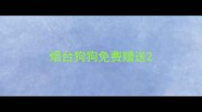 烟台狗狗免费赠送