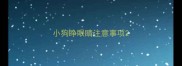 小狗睁眼睛注意事项