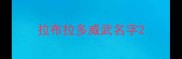 拉布拉多威武名字