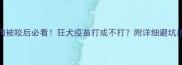 狗狗被咬后必看狂犬疫苗打或不打附详细避坑指南