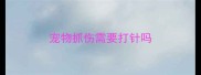 宠物抓伤需要打针吗
