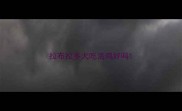 拉布拉多犬吃活鸡好吗