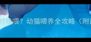 猫咪罐头什么时候喂幼猫喂养全攻略附选品清单