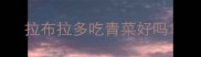 拉布拉多吃青菜好吗