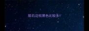 陨石边牧黑色比较多