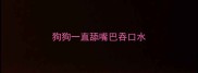 狗狗一直舔嘴巴吞口水