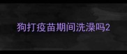 狗打疫苗期间洗澡吗