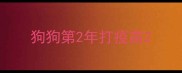 狗狗第2年打疫苗