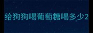 给狗狗喝葡萄糖喝多少