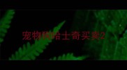 宠物狗哈士奇买卖